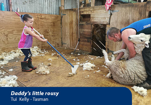 A child helping sweep wool
