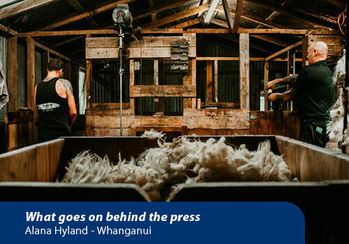 A woolshed with two shearers