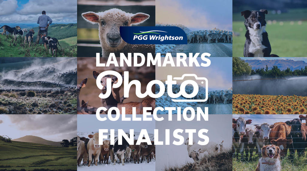 Landmarks Photo Collection 202 Finalists