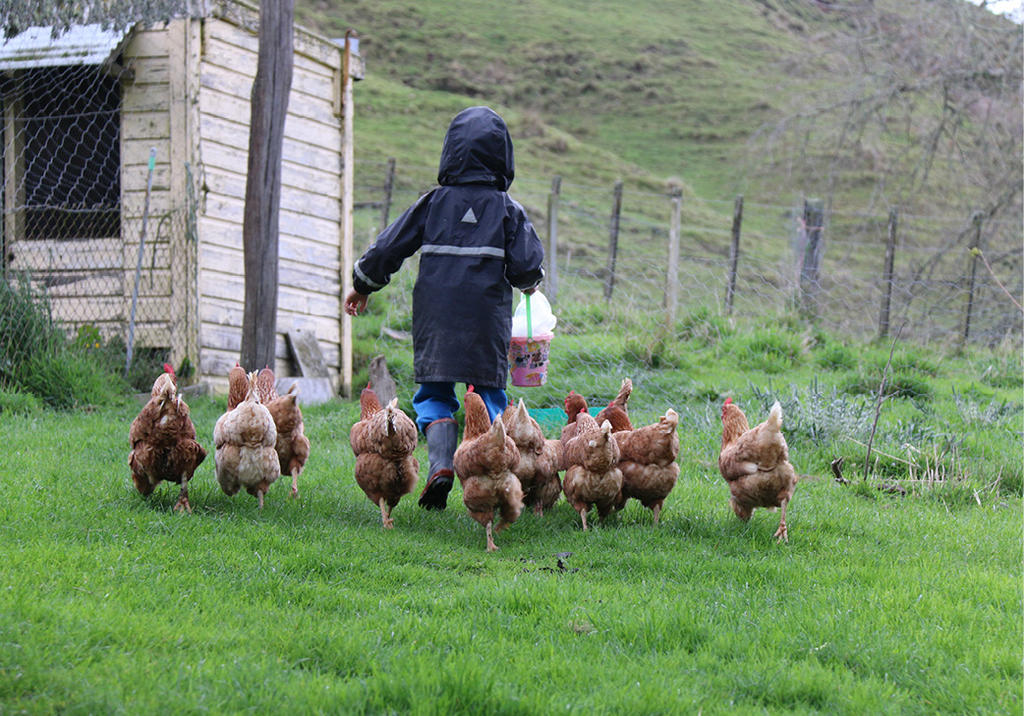 A small child being followed by a flock of chickens